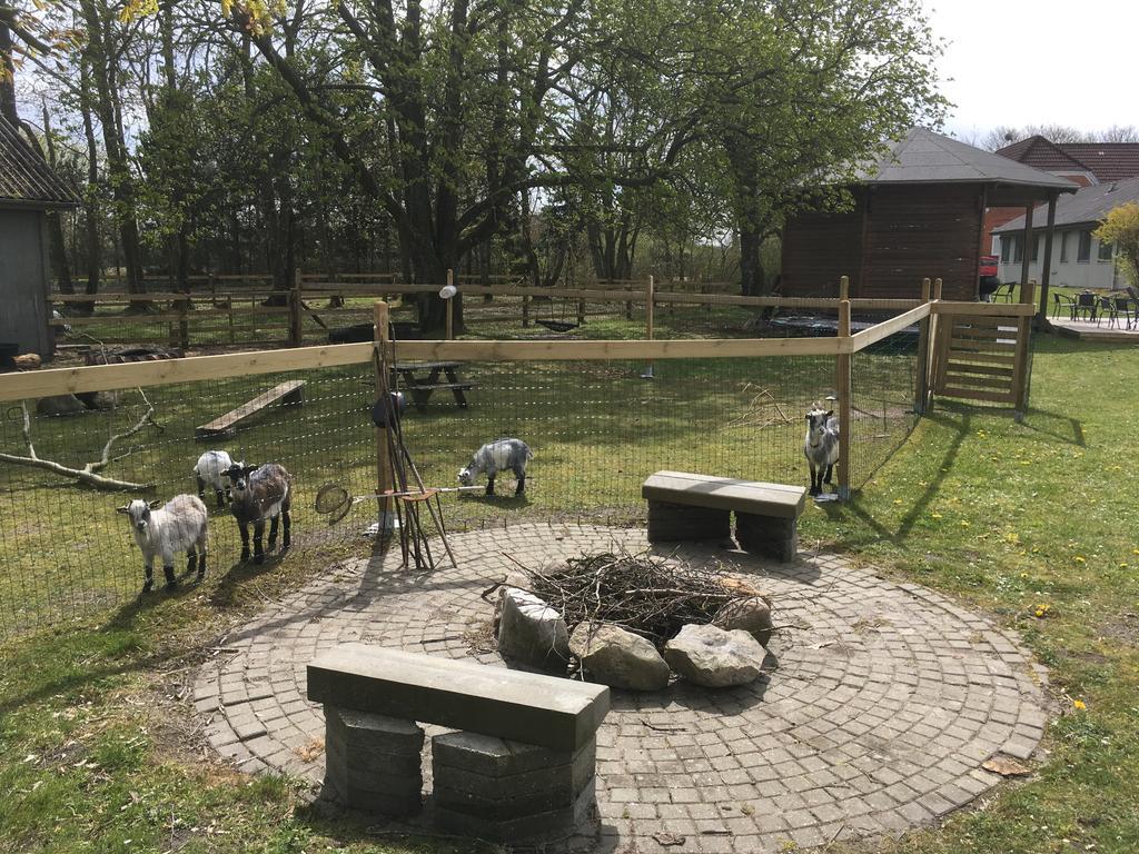 Hestkær Family Rooms Summer Camp Krogager Eksteriør bilde
