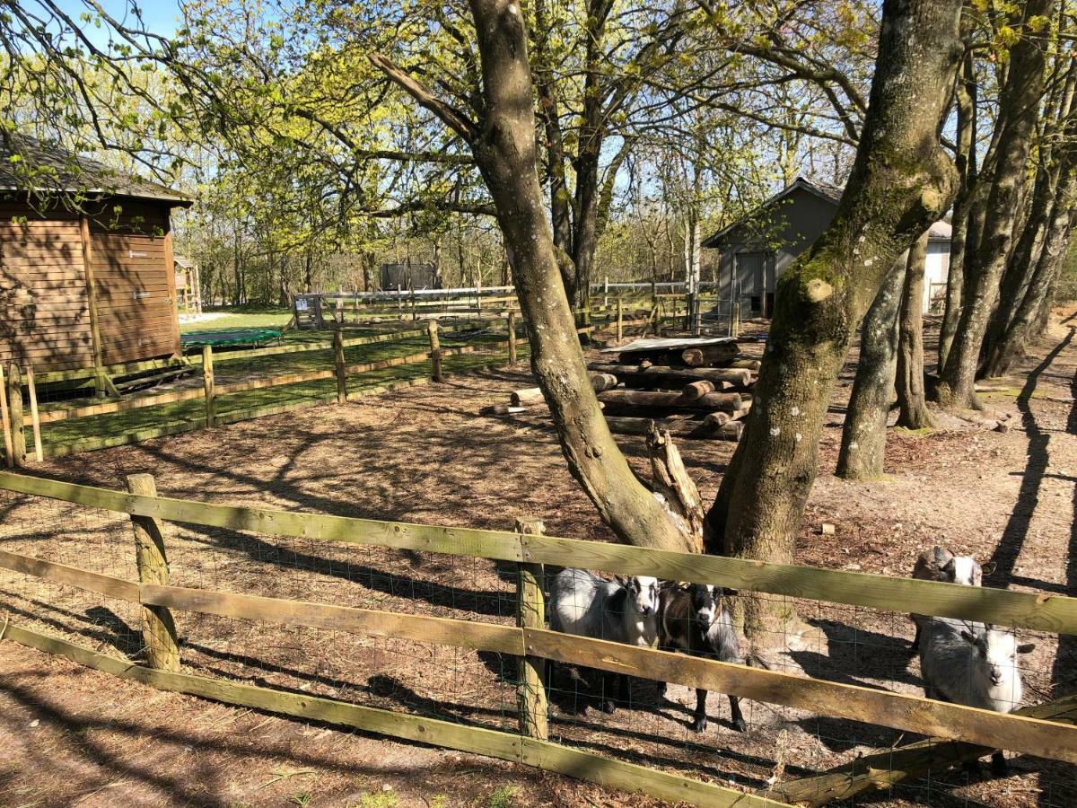 Hestkær Family Rooms Summer Camp Krogager Eksteriør bilde