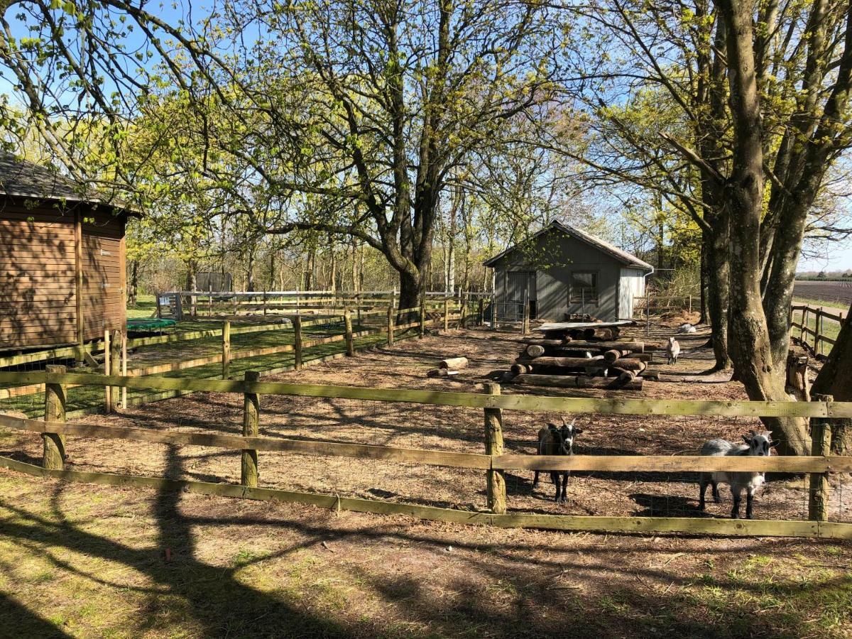 Hestkær Family Rooms Summer Camp Krogager Eksteriør bilde